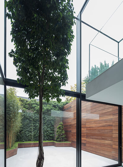 Two-storey glass extension with framed glass doors and large fruit tree in front of the glass